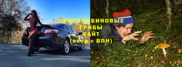 а пвп мука Верхний Тагил