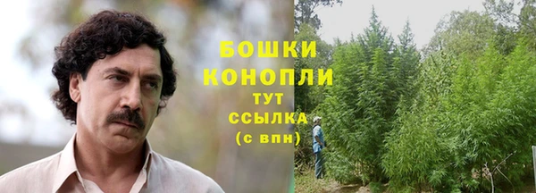 ГАЛЛЮЦИНОГЕННЫЕ ГРИБЫ Бронницы